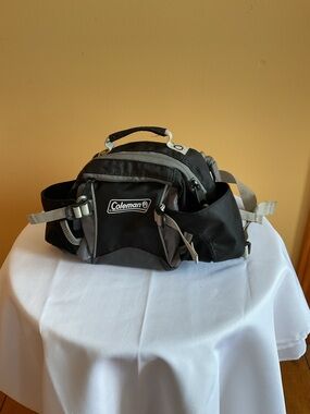 Coleman Black and Gray Belt Bag with Multiple Pockets